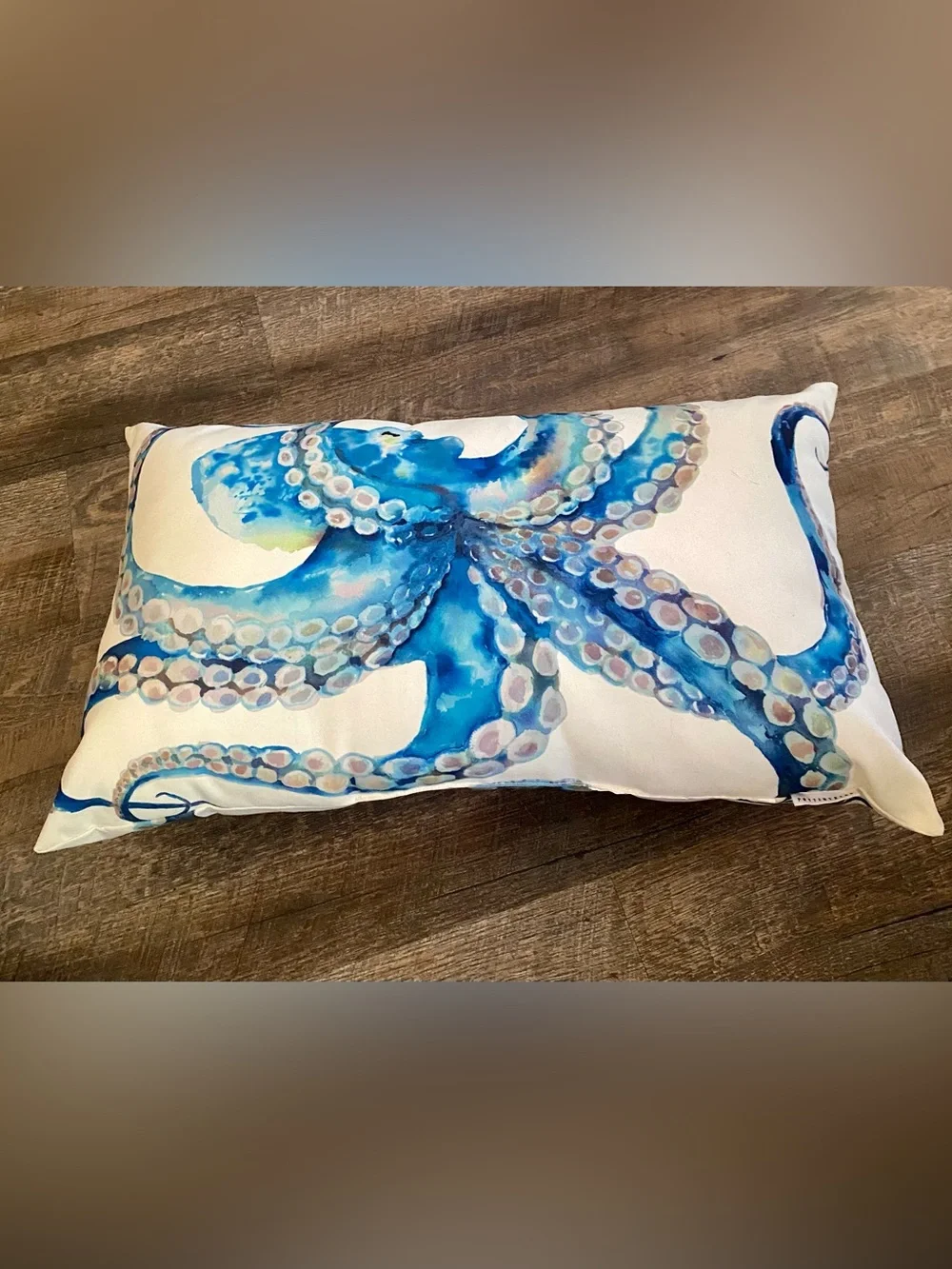 Pottery Barn Blue and Cream Octopus Accent Pillow